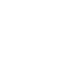 Hygienic Steam Processing service option